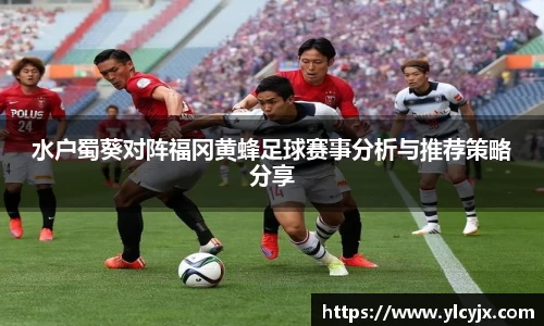 水户蜀葵对阵福冈黄蜂足球赛事分析与推荐策略分享